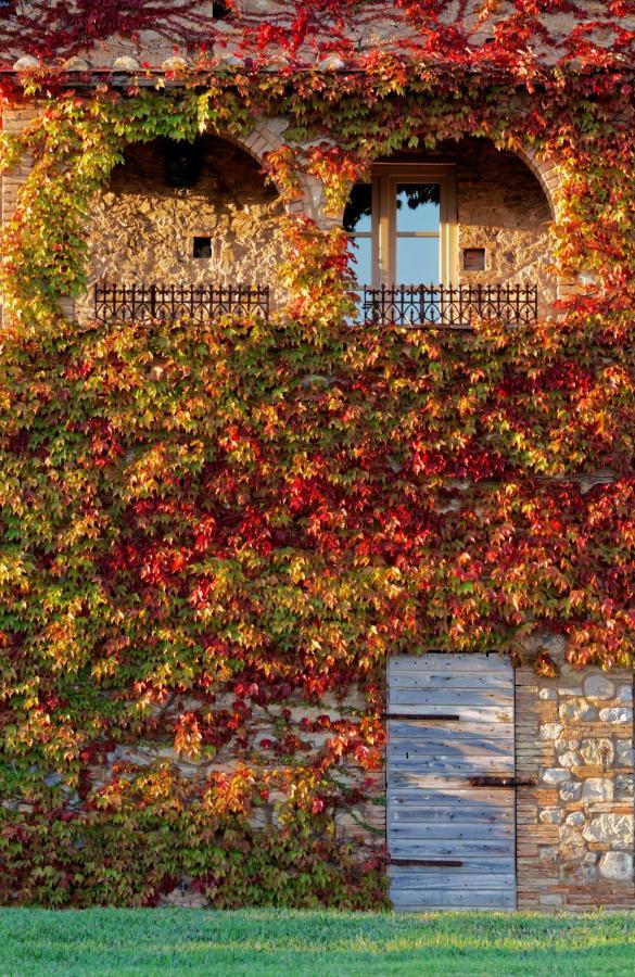 Relais Sant'Elena Bed & Breakfast Bibbona Exterior foto
