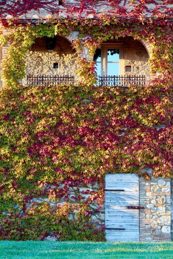 Relais Sant'Elena Bed & Breakfast Bibbona Exterior foto