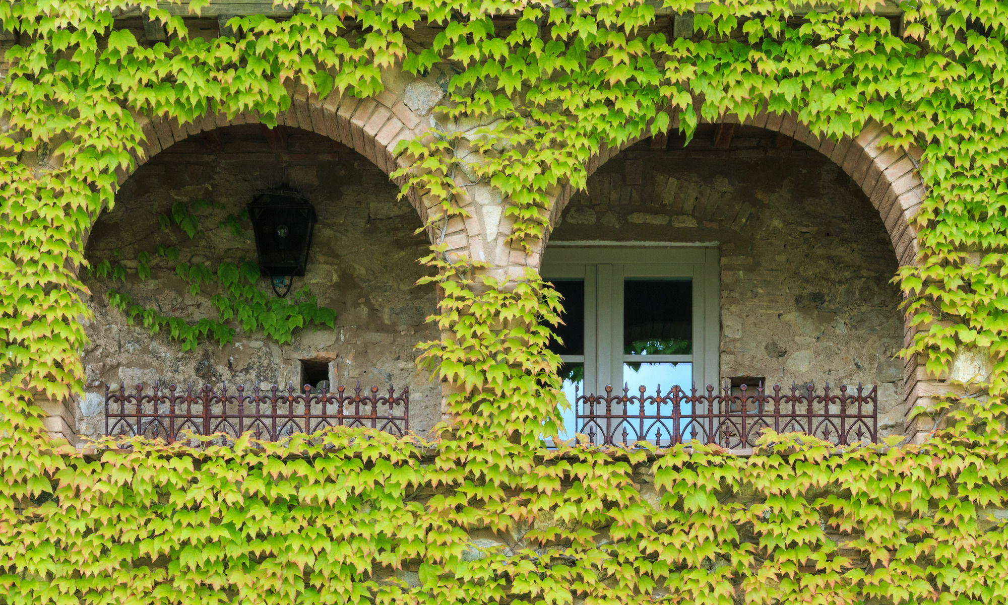 Relais Sant'Elena Bed & Breakfast Bibbona Exterior foto